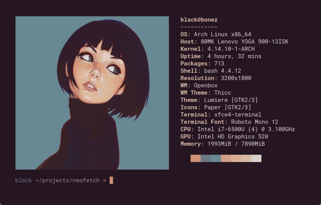 Neofetch Discontinued